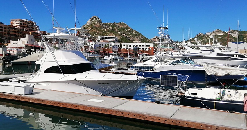 Cien embarcaciones y premios millonarios, la expectativa para los Bisbee's en Los Cabos