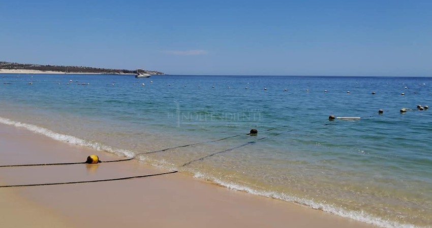 Las desaladoras de agua afectan al medio ambiente: Biólogo