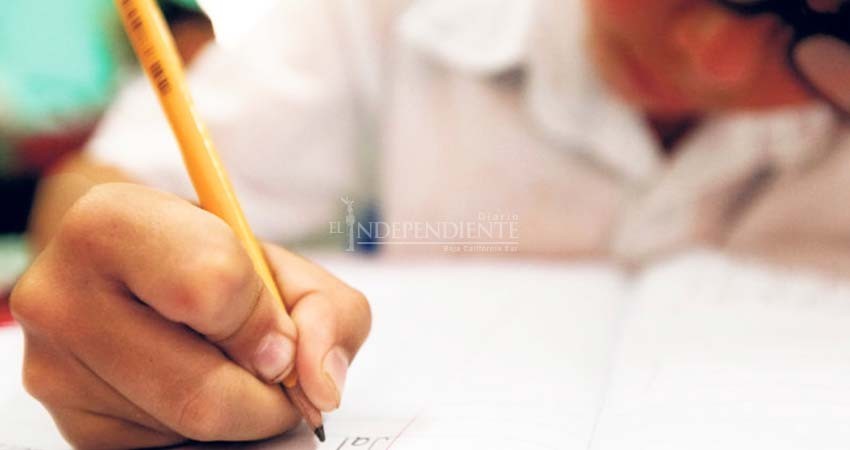 No hay escuelas que ofrezcan clases en línea sin RVOE: SEP