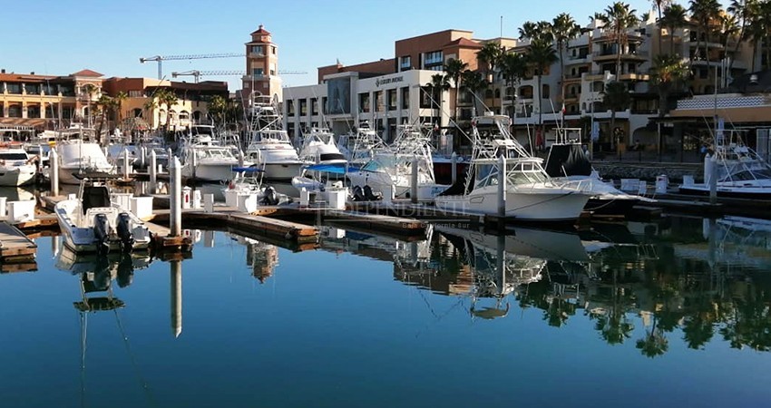 Pandemia deja sin el 80% de ingresos a la industria de cruceros en México