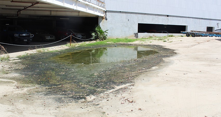 No hay presupuesto para el mantenimiento del Pabellón Cultural: Regidor