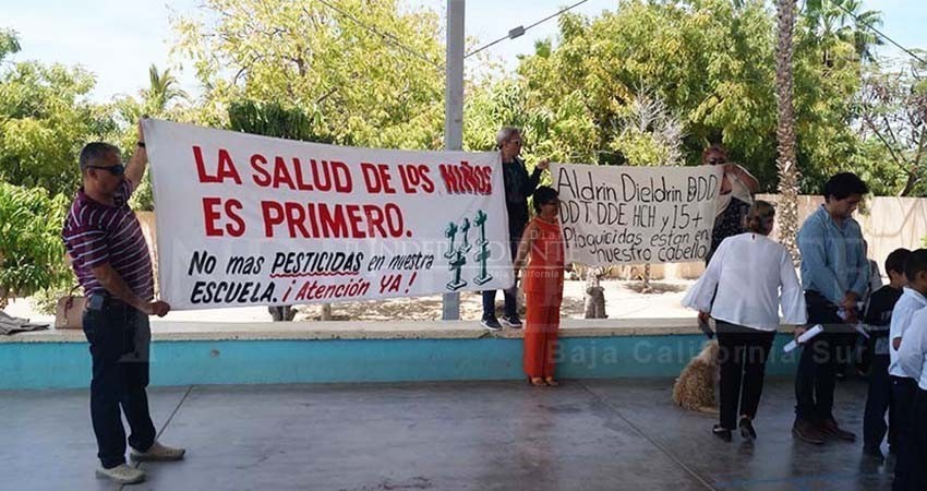 Revista científica documenta daño cancerígeno y genotóxico en niños de Todos Santos