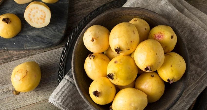 ¿Por qué es bueno comer guayaba? Estos son los beneficios