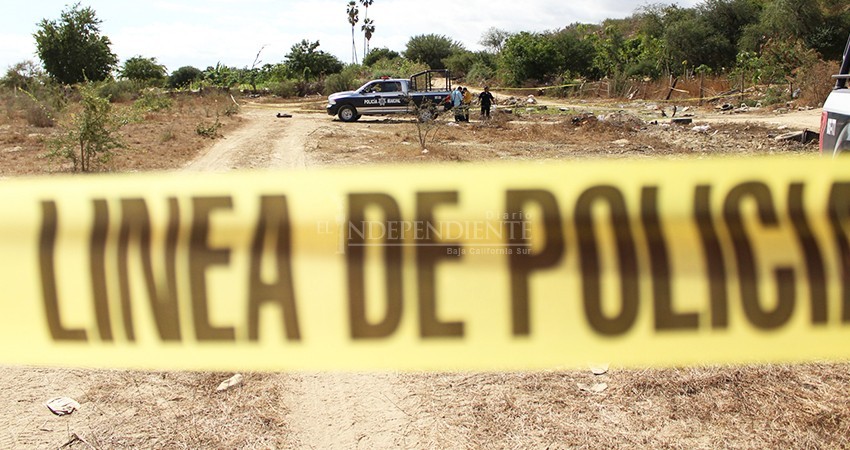 En 2020, el 25% de los homicidios en BCS se han cometido con arma de fuego