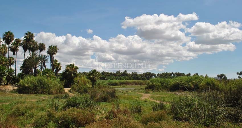 Sin ejercer 5 mdp destinados a la conservación del estero josefino