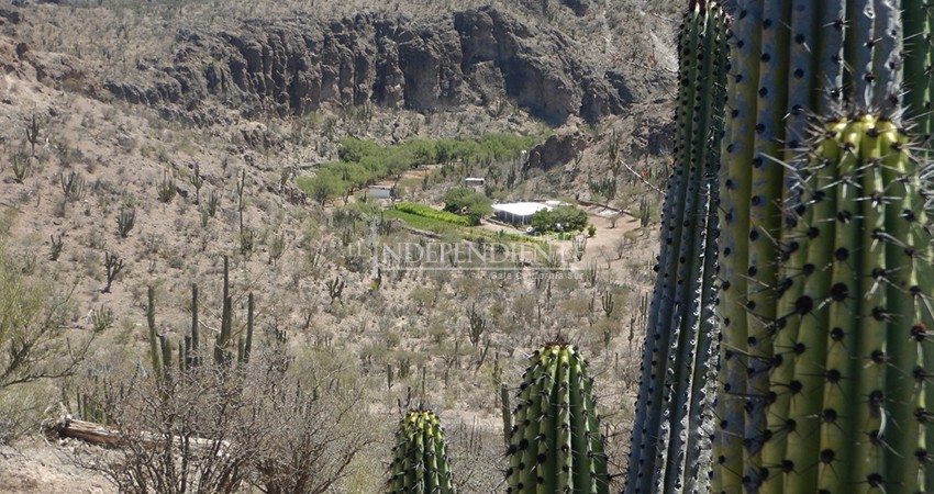 Declaración de áreas protegidas en Sierras La Giganta y Guadalupe suman 6 años de retraso