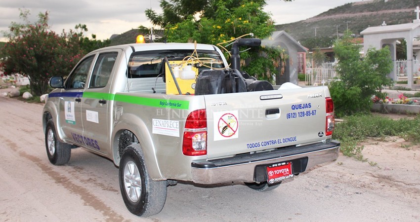 Fumigar no elimina criaderos de zancudos; la prevención es lo más efectivo contra el dengue