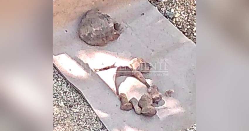 Localizan restos humanos en SJC