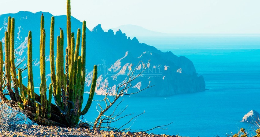 Zona norte de Baja California Sur, una oportunidad turística