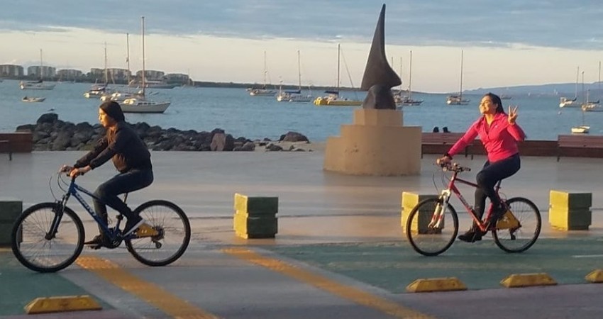 Invita IMD a la segunda rodada “Limpiando Nuestras Playas”