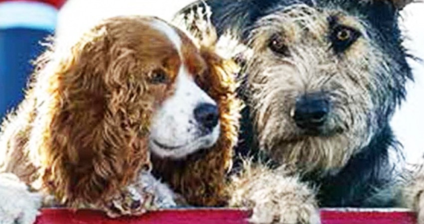 Disney+ llega para quedarse