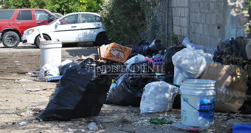 Servicios Públicos tiene más de una semana sin recoger la basura del fraccionamiento Oasis