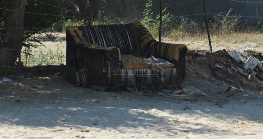 Piden vecinos de la colonia Ejidal retiro de ramas y cacharros