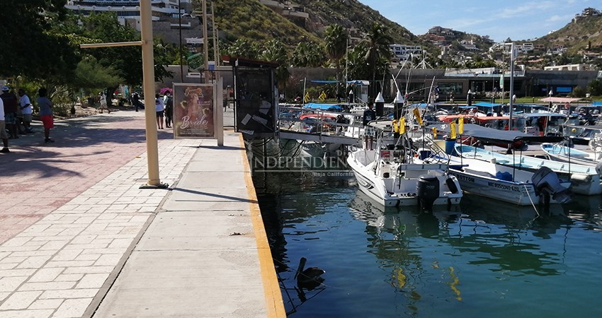 Busca API CSL recuperar inversión pública tras recortes federales