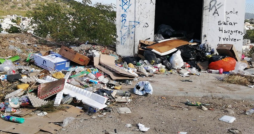 Insectos invaden colonias para falta de recolección de basura en CSL