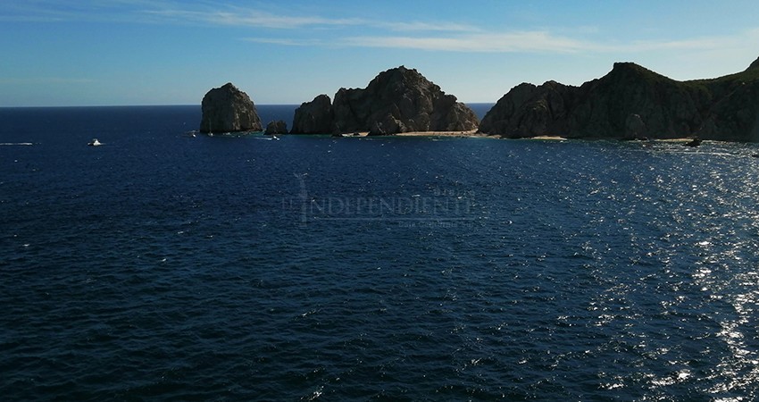En Los Cabos, el avistamiento de ballenas deberá ser a una milla de la costa