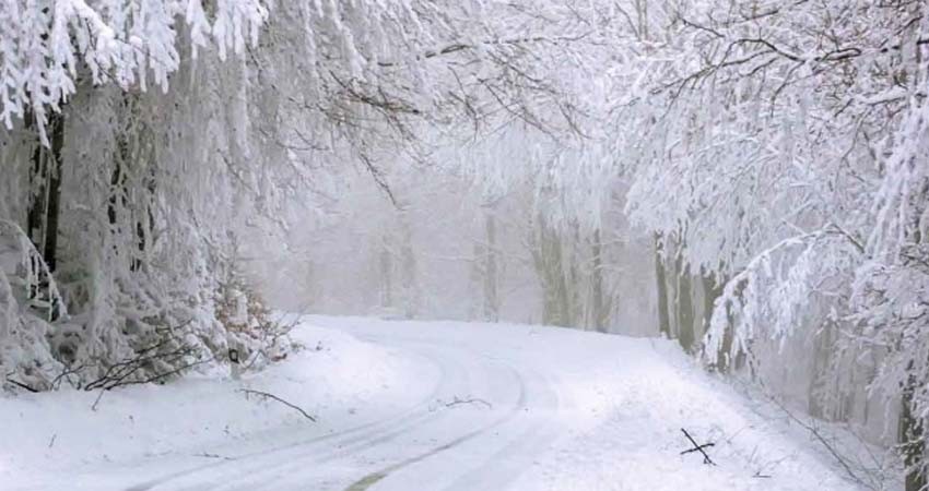 Joven muere congelado tras usar ruta sugerida por Google Maps