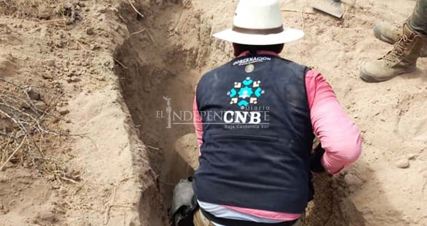 En 2020, ciudadanos organizados identificaron restos de 8 personas en fosas clandestinas de BCS