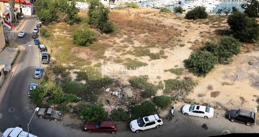 Vergonzoso cochinero: lote baldío en zona turística de CSL