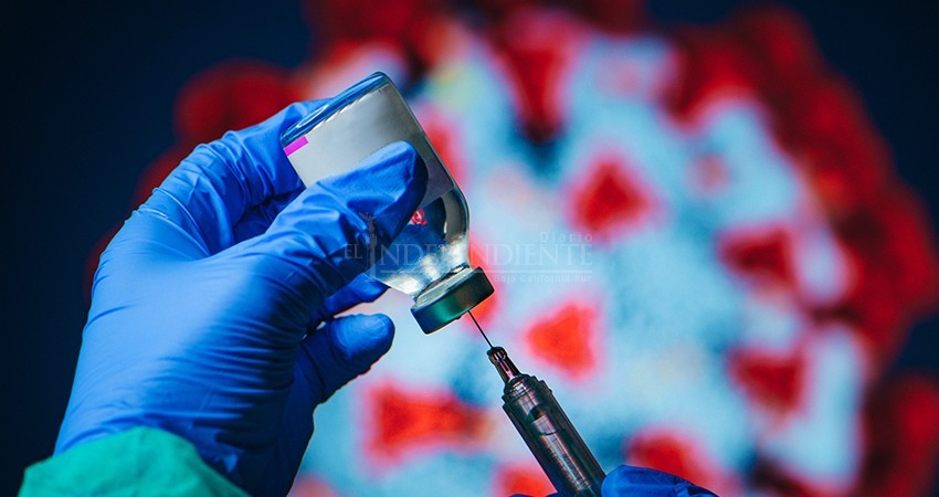Llega hoy a BCS la vacuna Pfizer contraCOVID-19: SEDENA