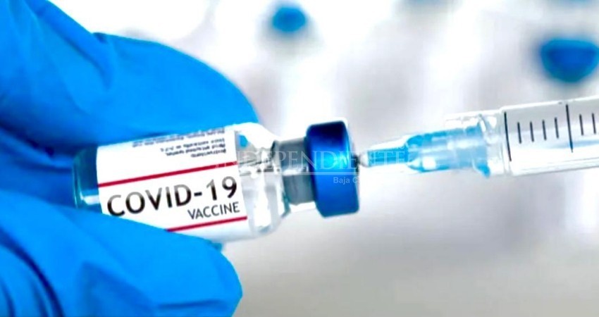 Llegan a BCS más vacunas anti COVID