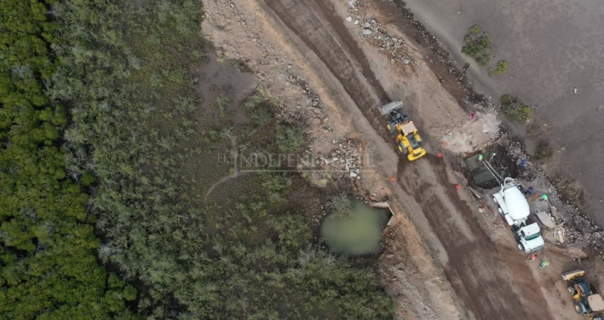 Obras de SCT secan manglares rumbo a Pichilingue, denuncian ciudadanos