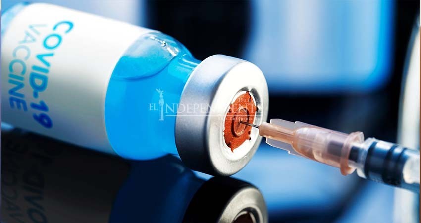 No podrá gobierno de BCS adquirir vacunas contra Covid-19