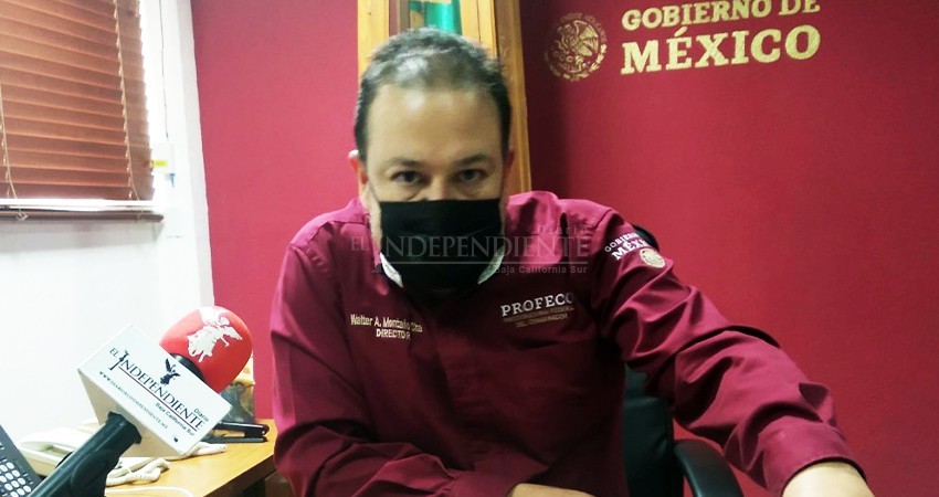 Cuotas escolares no deben incluir servicios que no van a brindar: Profeco