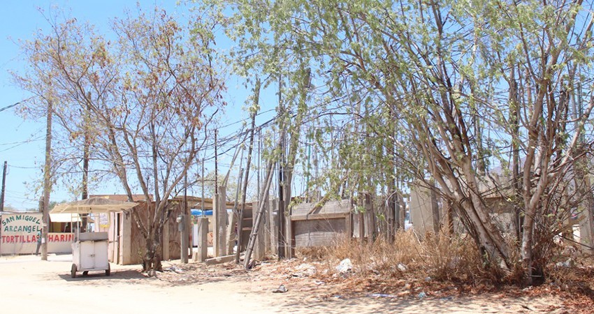 No se debe condicionar la conexión a la red eléctrica en La Ballena