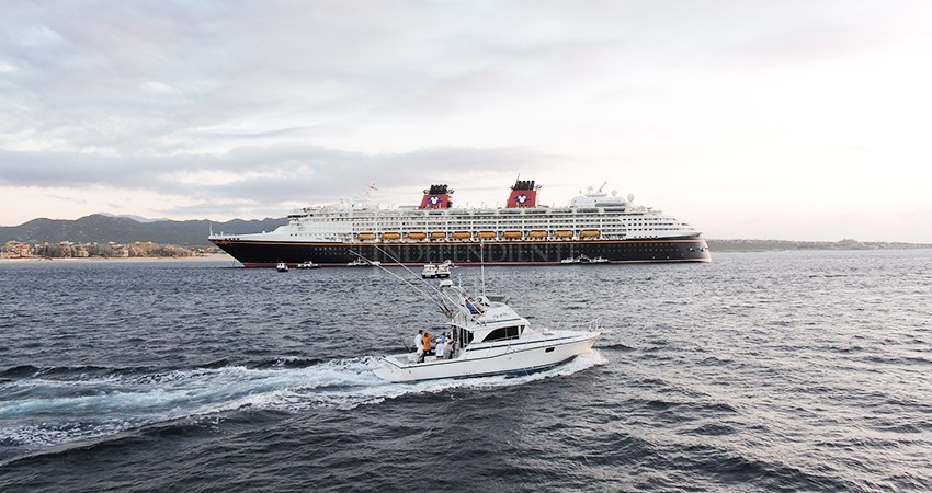 Con Laboratorios a bordo y sistemas de purificación, así se preparan los cruceros para su regreso