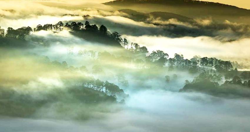 Cae México en rating de acciones de gobierno frente al cambio climático