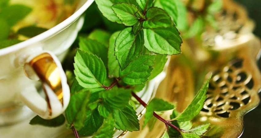 Peruanos recurren a plantas medicinales ante avance de Covid