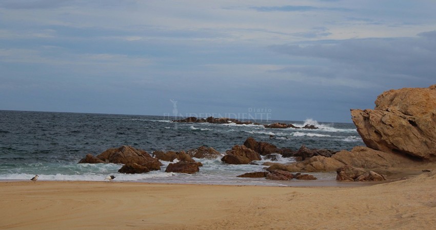 Operativos para medidas de bioseguridad en playas sólo se realizan los fines de semana