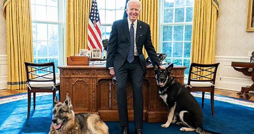 Biden presume a sus mascotas dentro del Despacho Oval