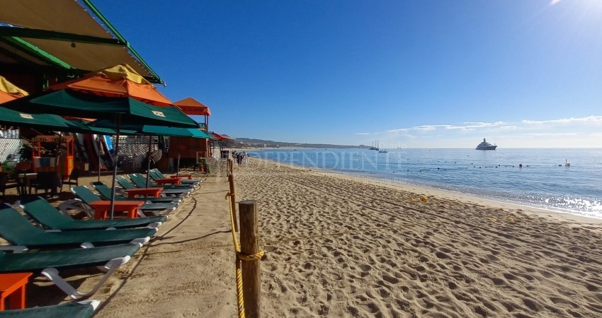 La fiesta del Spring Break murió con la pandemia: Ricardo Araoz