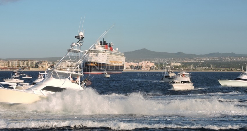 Navieras del mundo anuncian calendario de regreso a altamar, será a partir de abril