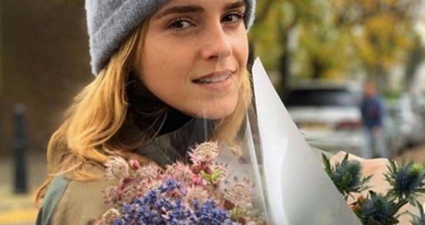 Emma Watson no se retira de la actuación, aclara su agente
