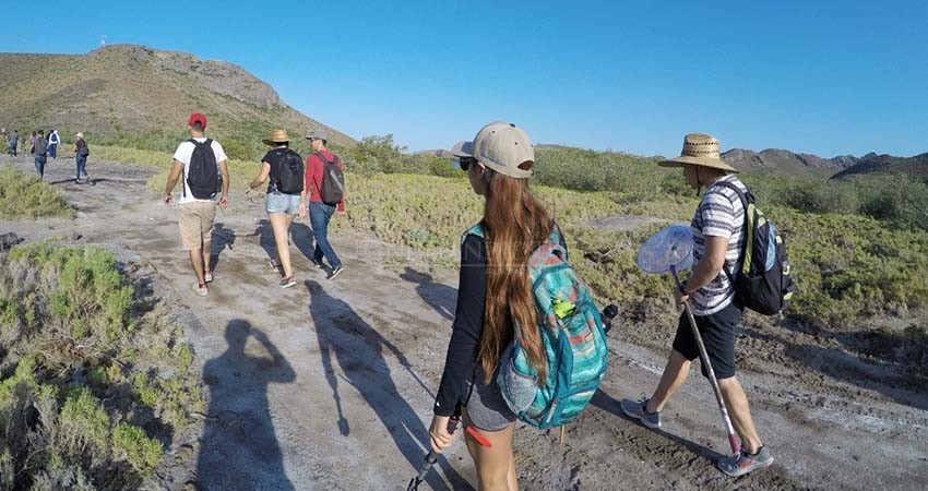 En conjunto con Gobierno estatal, la UABCS ha contribuido en la certificación de más de 300 guías de turistas locales