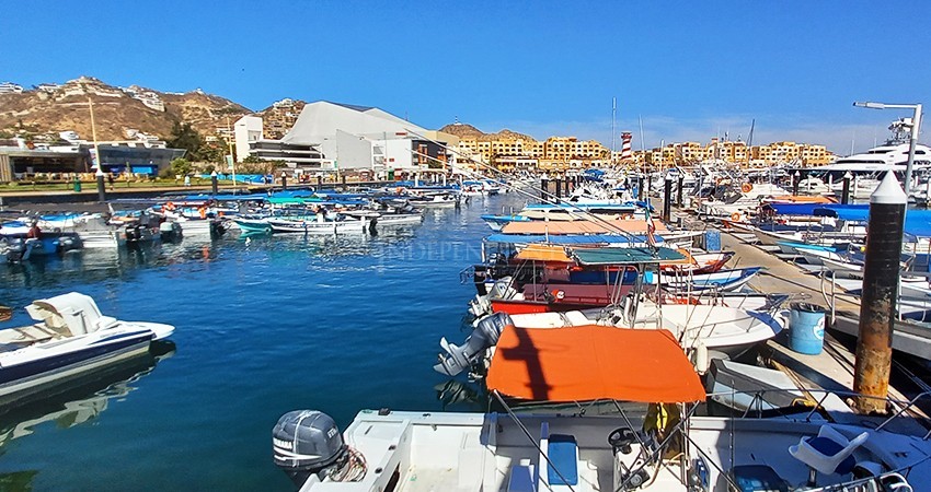 Caos en el puerto de Cabo San Lucas