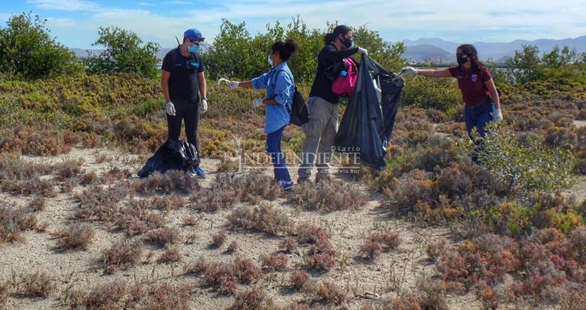 Hasta 100 voluntarios se unieron para sacar basura de los manglares en Chametla