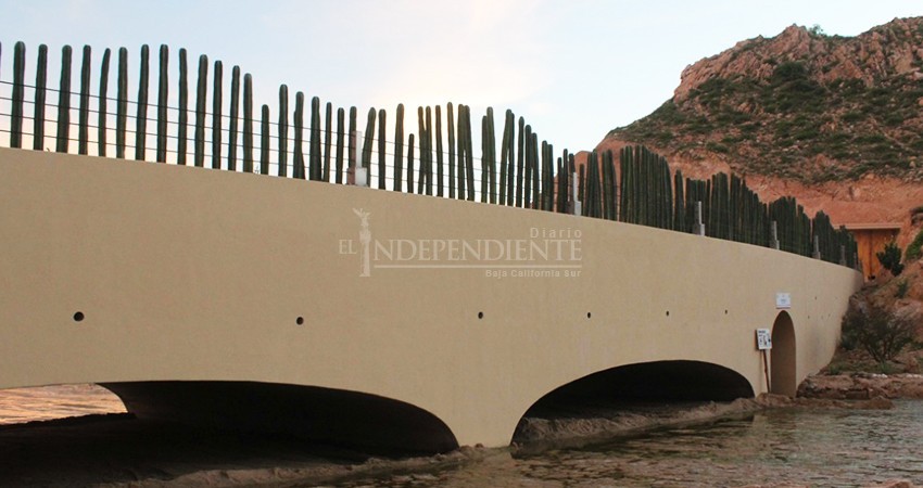 Arturo de la Rosa perfeccionó los procesos para el puente Las Viudas: Síndico