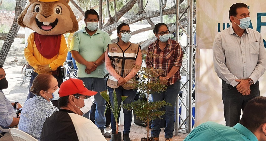 35 mil árboles han sido plantados en la administración de Rubén Muñoz