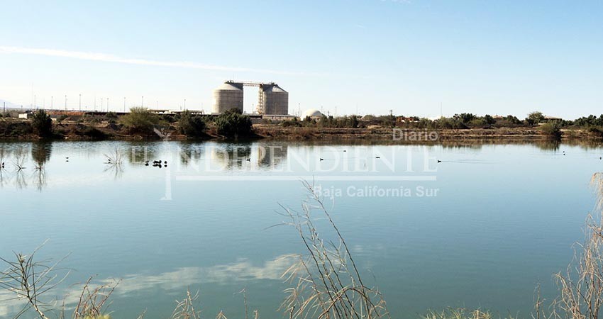Pone en marcha Ayuntamiento La Paz sistema lagunar en el Eco Parque de la Juventud