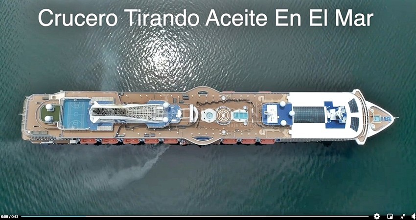 Académicos advierten sobre peligros para la vida marina por contaminación de megacruceros