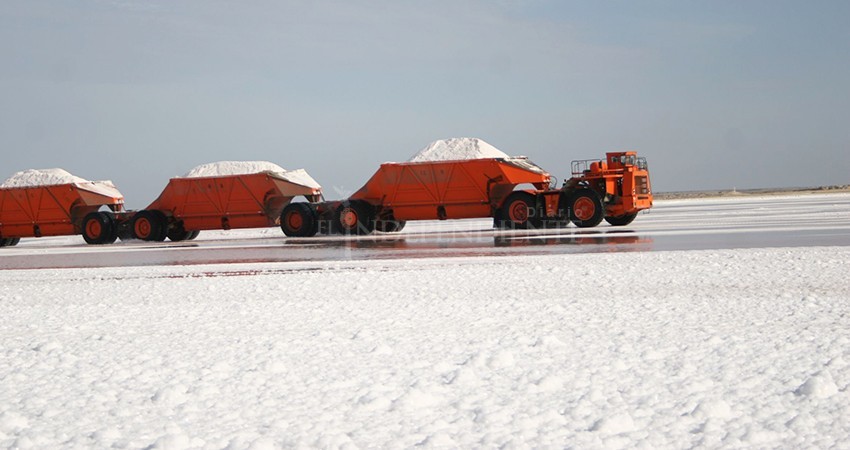 Va Tathiana Clouthier contra Mitsubishi en salinera de Guerrero Negro