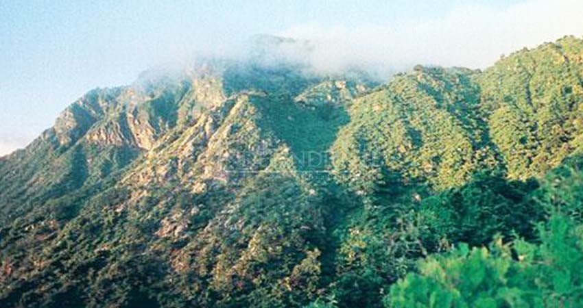 Opacidad en el plan sectorial de Medio Ambiente 2015-2018: Niparajá–UABCS