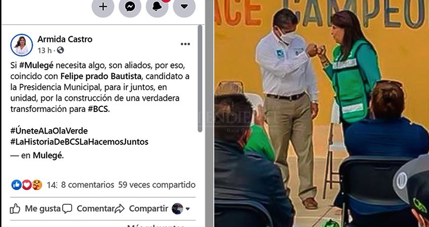 Disuaden matrimonio entre Nueva Alianza y PVEM: desmiente Felipe Prado a Armida Castro