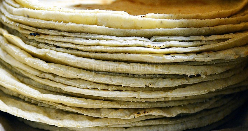 Prevén aumento en el precio de tortilla de maíz a partir de junio