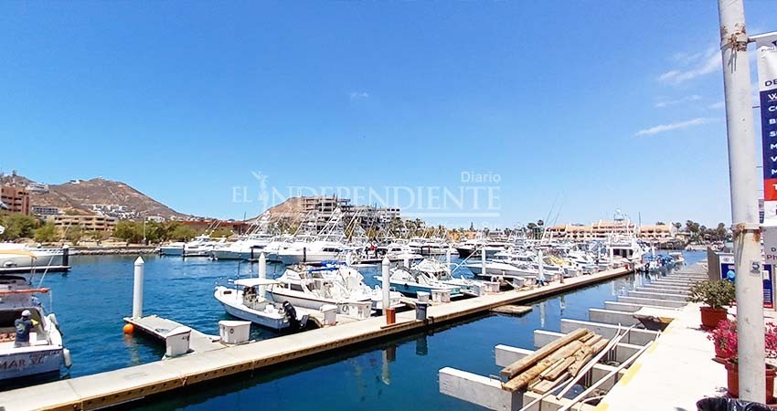 Pescadores deportivos señalan a Conapesca como responsable de embargos pesqueros