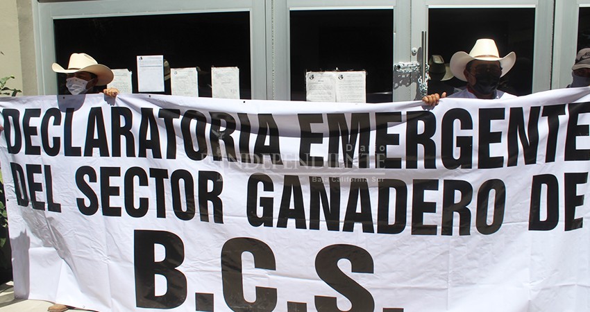 Ganaderos se encadenan al Congreso del Estado: piden atención a la sequía